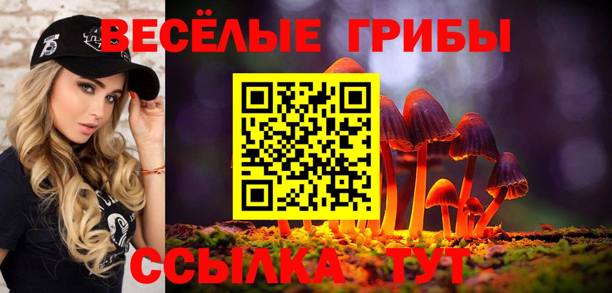 Псилоцибиновые грибы Psilocybe Шахты